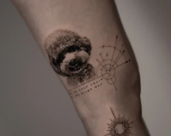 {{brizy_dc_image_alt imageSrc=