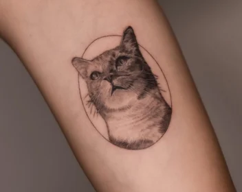 {{brizy_dc_image_alt imageSrc=