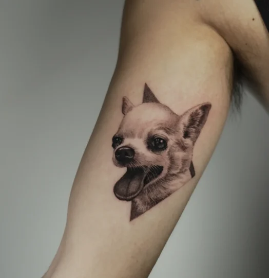 {{brizy_dc_image_alt imageSrc=