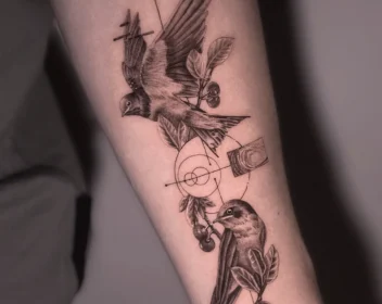 {{brizy_dc_image_alt imageSrc=